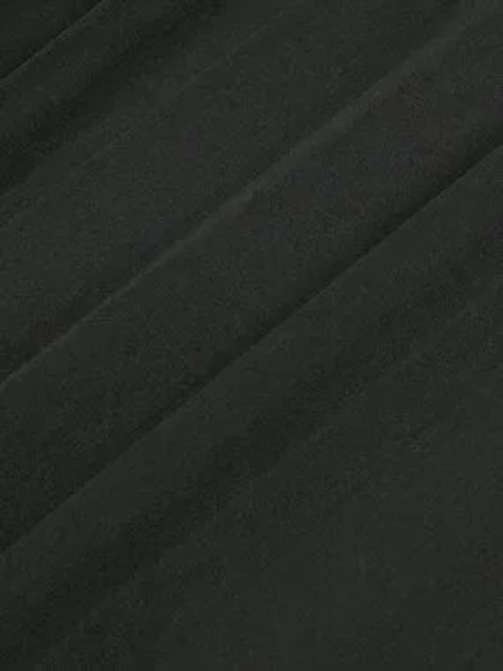 Black Elegant Women's Minimalist Pleated Casual Pants - Picture 6 of 7